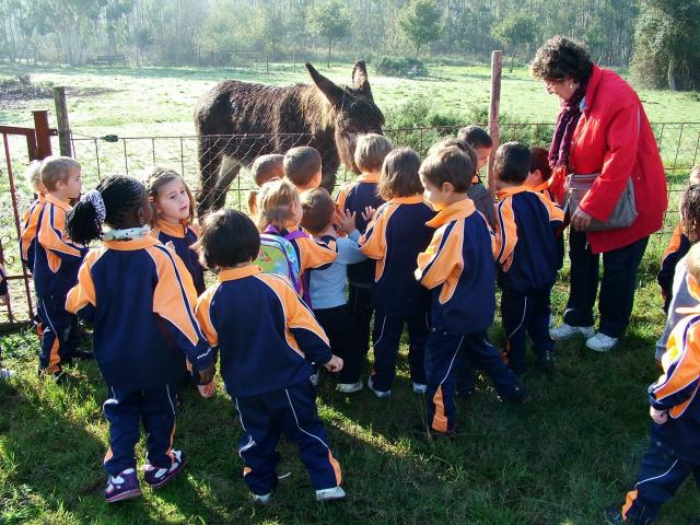 Els animalons van causar sensació!