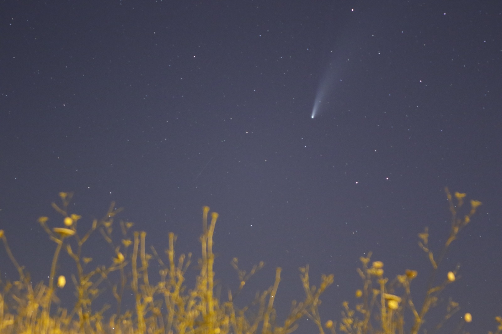 Cometa Neowise, juliol de 2020