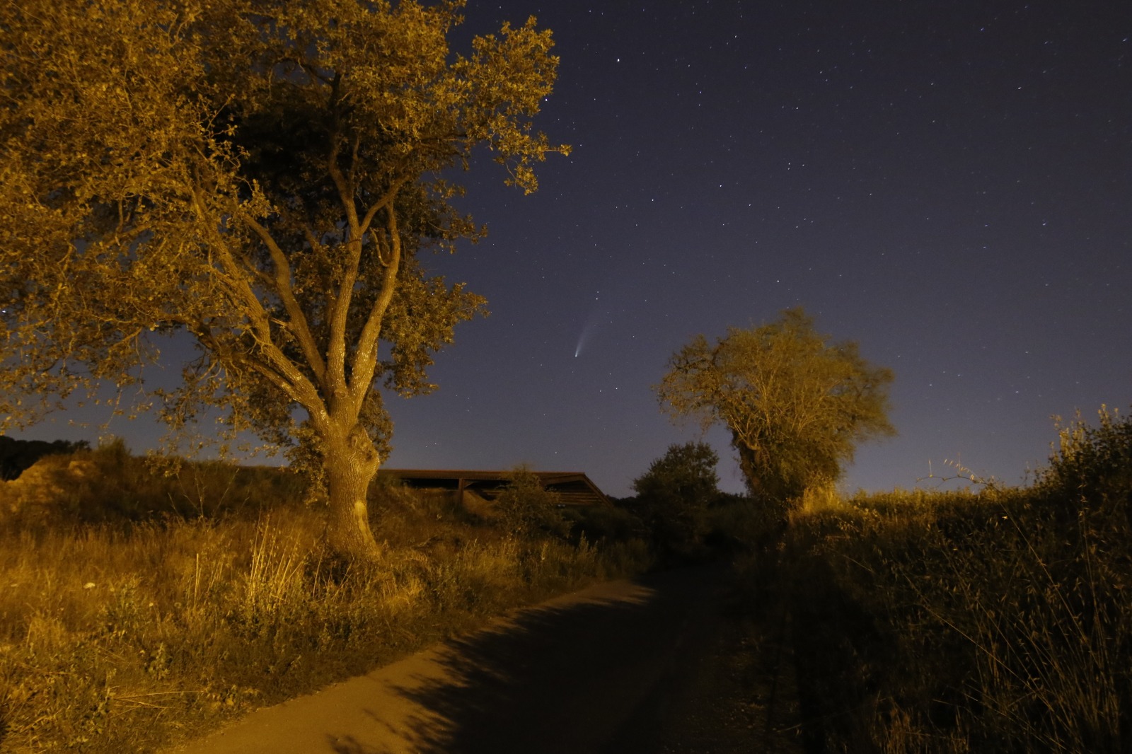 Cometa Neowise, juliol de 2020