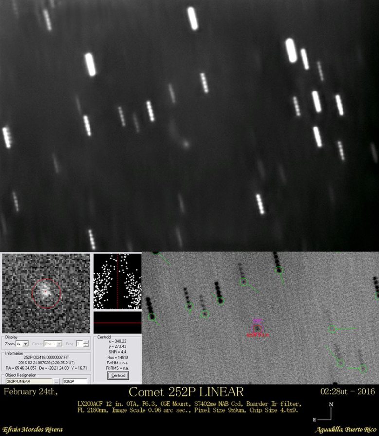 El cometa 252P/LINEAR fotografiat per Efraín Morales, de la Sociedad de Astronomía del Caribe (SAC)