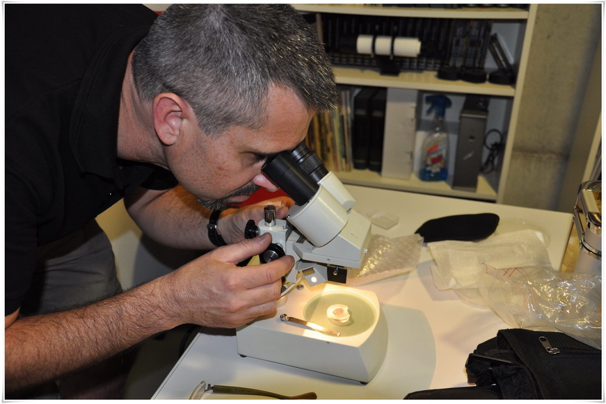 Estudi de meteorits amb el Dr. Josep Maria Trigo-Rodríguez