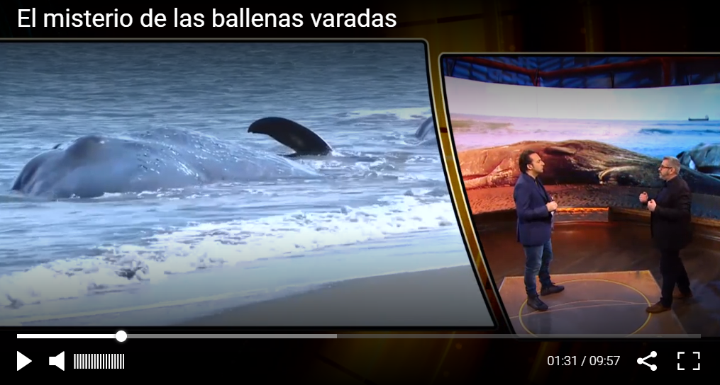 Cuarto Milenio
