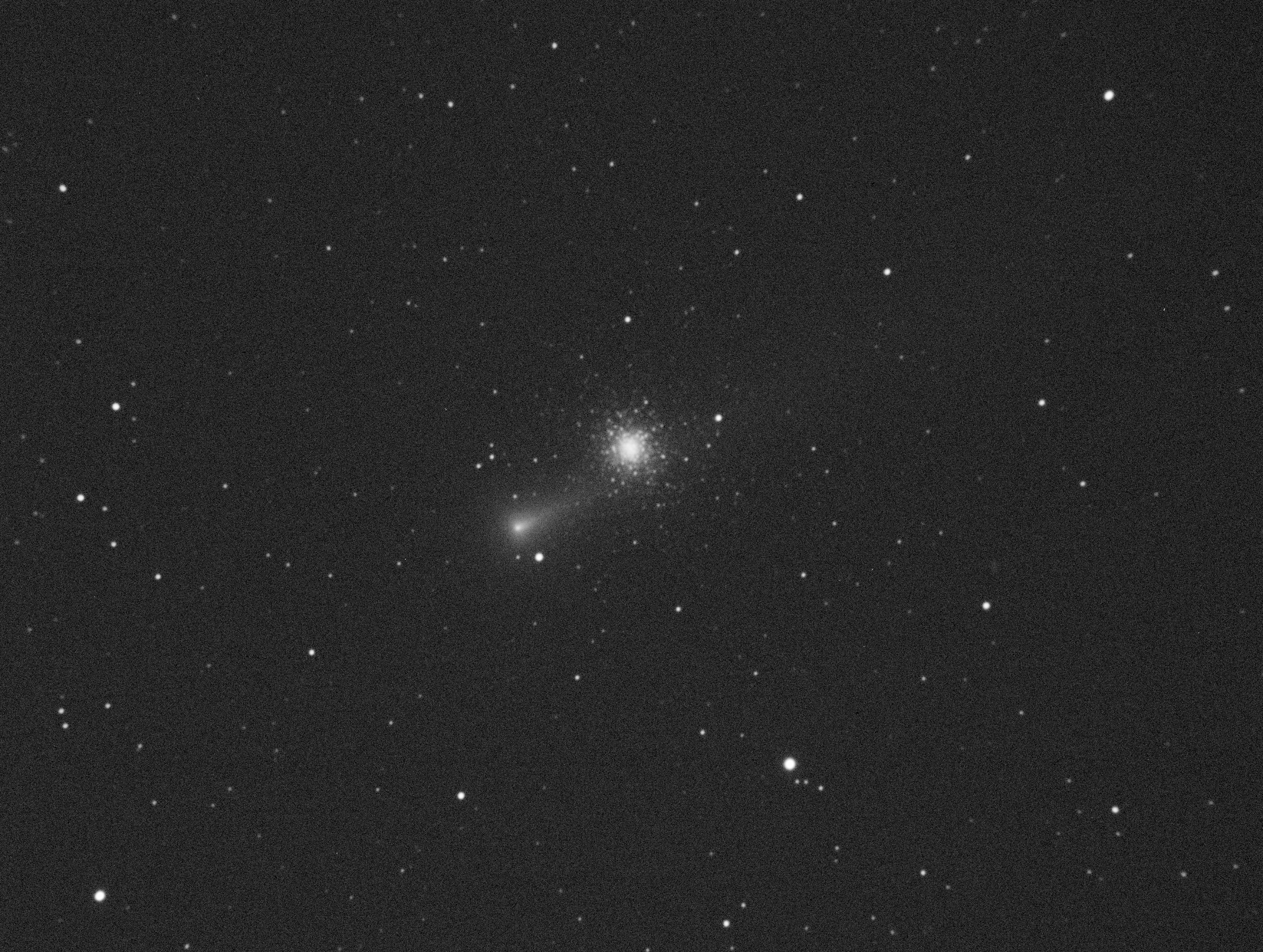 C/2021 A1 Leonard i M3 el dia 3 de desembre, des de l'Observatori Can Roig, Llagostera, Rafael Balaguer. 58 fotografies de 20-30 segons. En la segona imatge el processat de Jordi Arnella centrat en el cometa mostra la llarga cua del Leonard