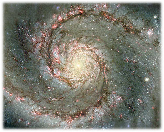 M51