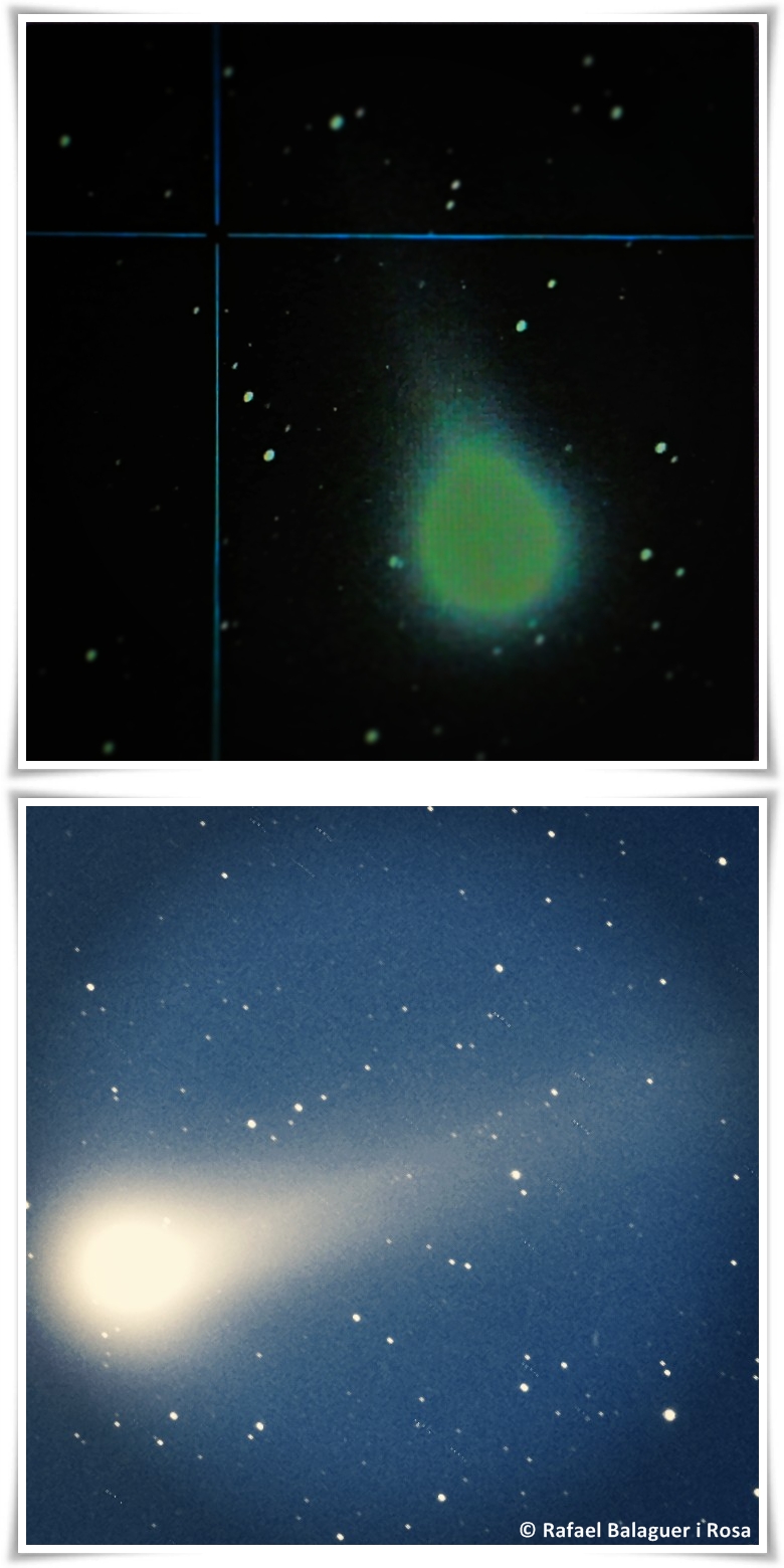 El cometa Lovejoy fotografiat des de l'Observatori Can Roig, per Rafael Balaguer i Rosa