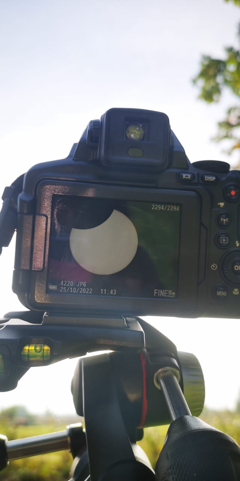 Eclipsi parcial de Sol 25-10-22, Jessica Lleonart