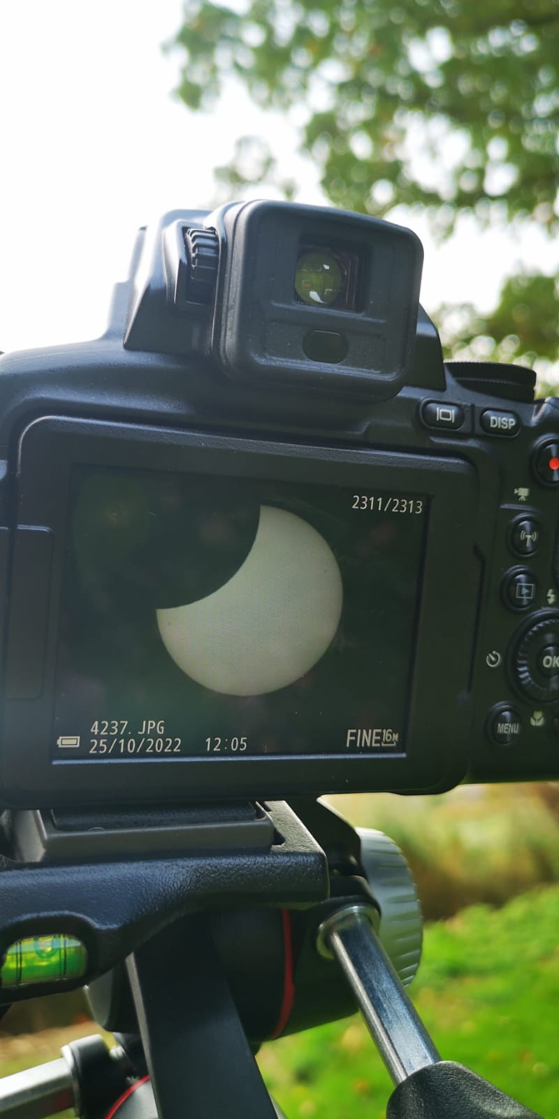 Eclipsi parcial de Sol 25-10-22, Jessica Lleonart