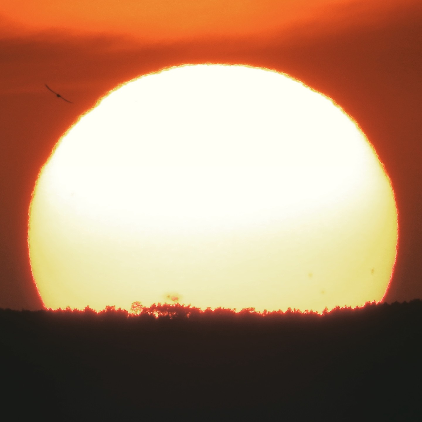 Posta de Sol el 12-07-23, amb la taca solar AR3363, Rafael Balaguer