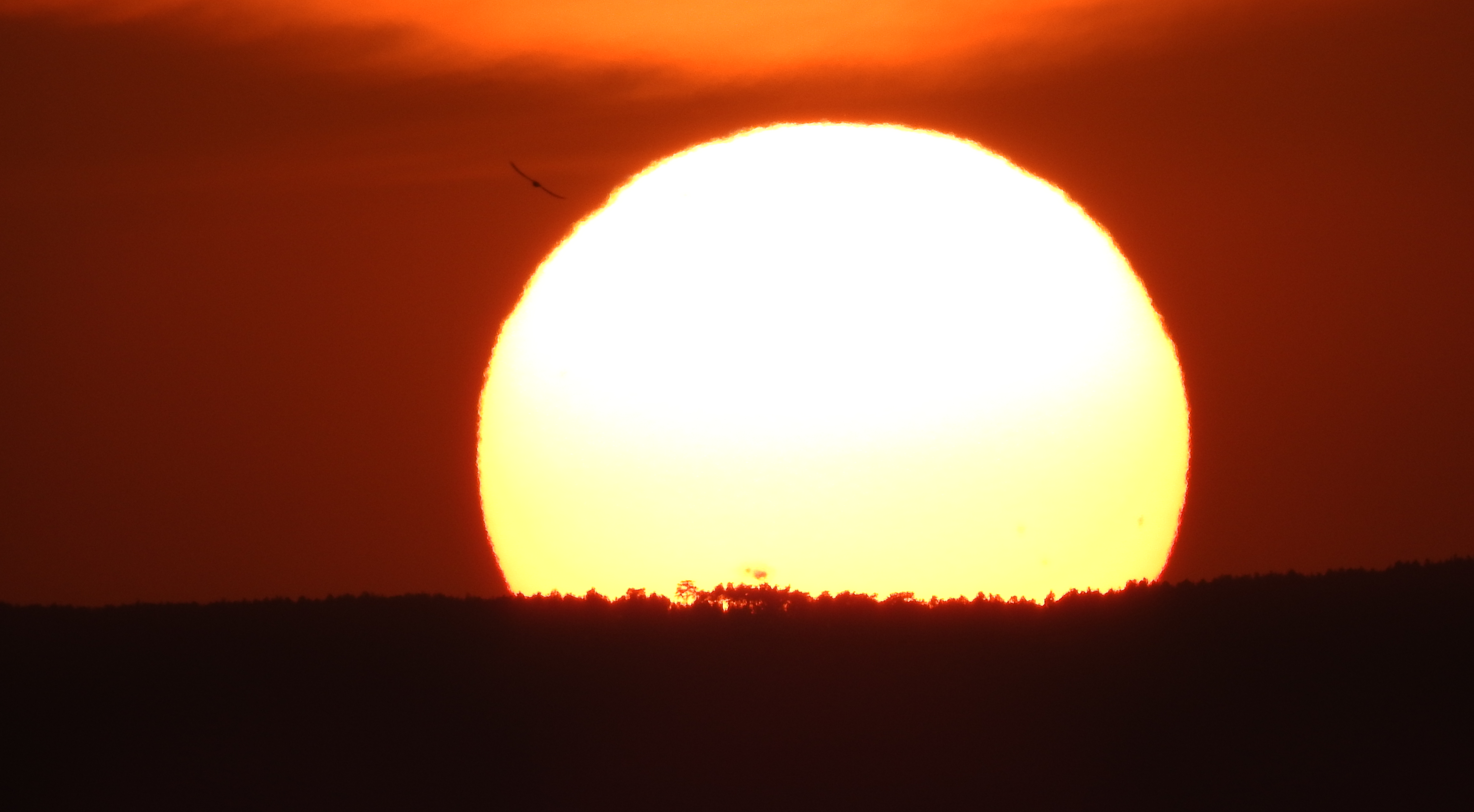 Posta de Sol el 12-07-23, amb la taca solar AR3363, Rafael Balaguer